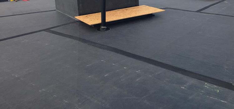 single ply roofing services Edinburgh